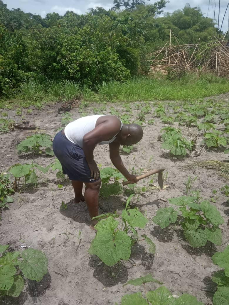 Côte d'ivoire | Un jeune ivoirien produit du bioéthanol pour lutter contre le réchauffement climatique